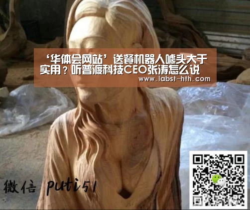 ‘华体会网站’送餐机器人噱头大于实用?听普渡科技CEO张涛怎么说(图1) 华体会官网