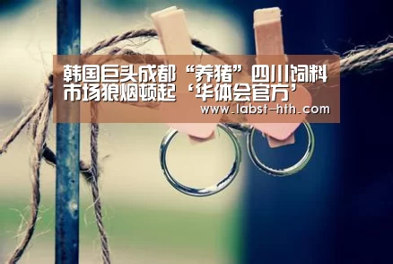 华体会体育