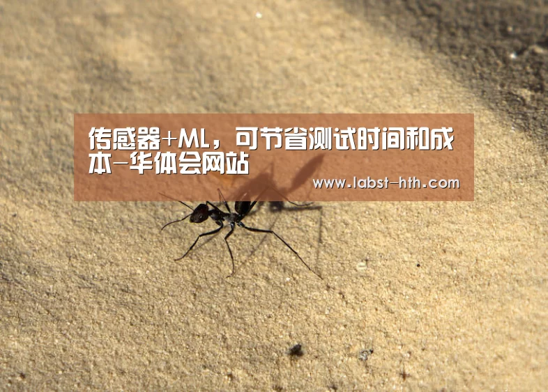 华体会官网
