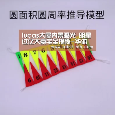 lucas大屋内景曝光 明星过亿大豪宅全揭秘-华体会(图4) 华体会