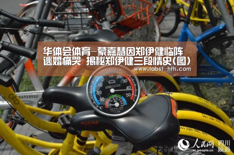 华体会