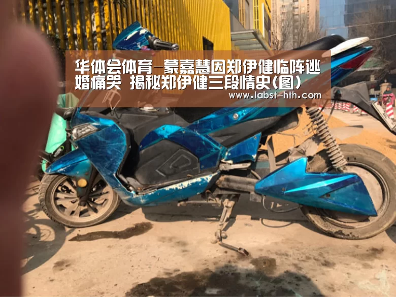 华体会
