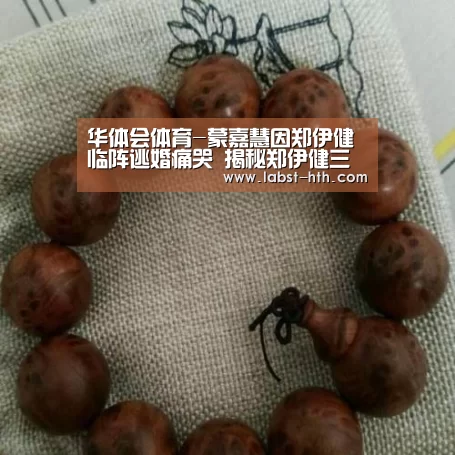 华体会