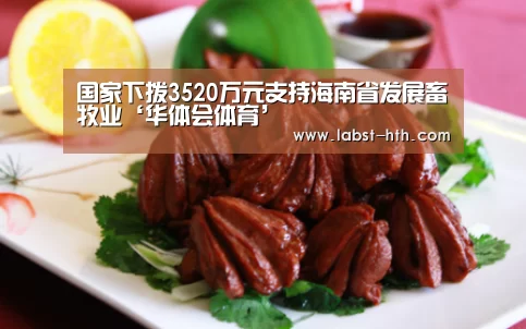 华体会